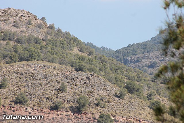 XVII Bike Maraton Btt Ciudad de Totana 2014 - 5